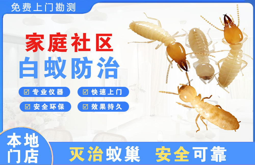 吉首家庭社区白蚁防治