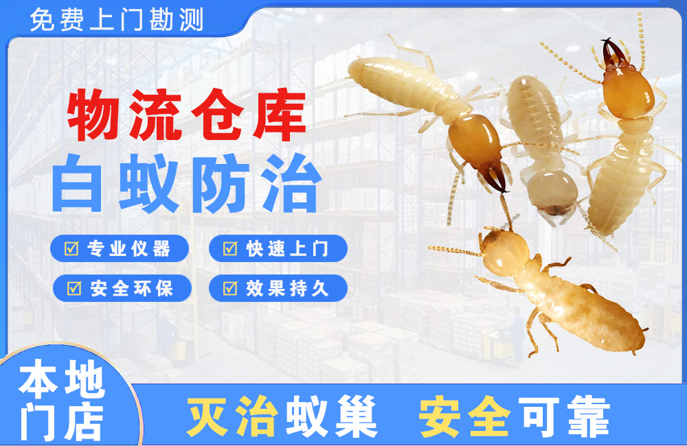 吉首物流仓库白蚁防治