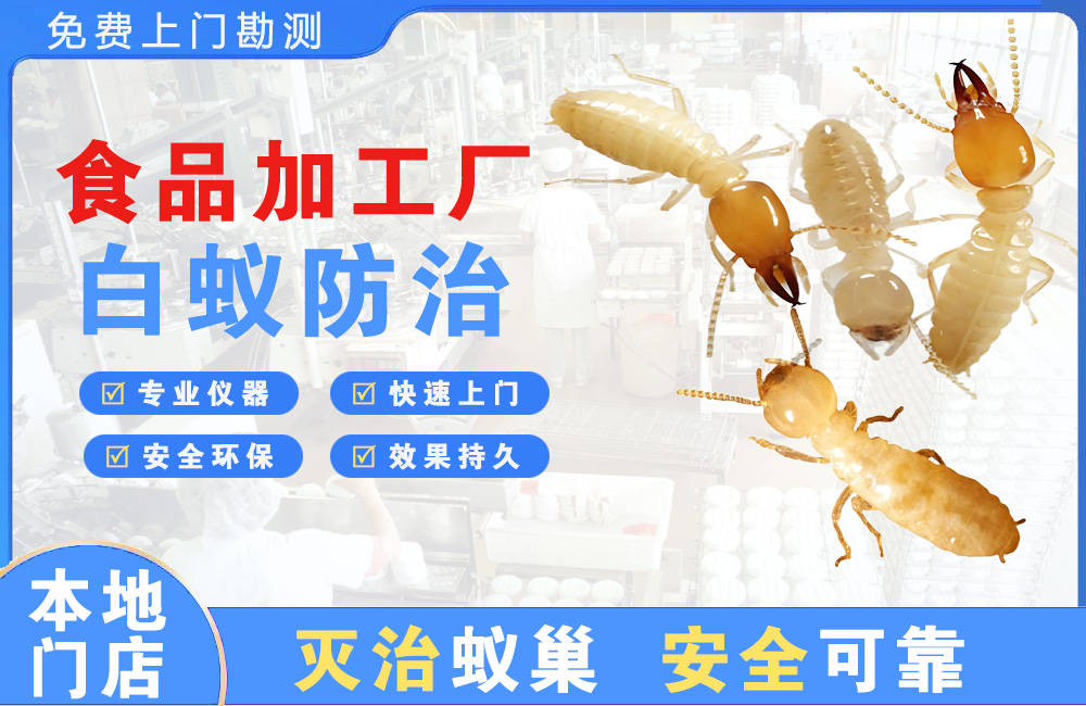 吉首食品加工厂白蚁防治