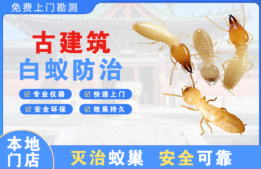 吉首古建筑白蚁防治