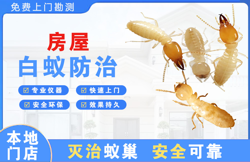 吉首房屋白蚁防治