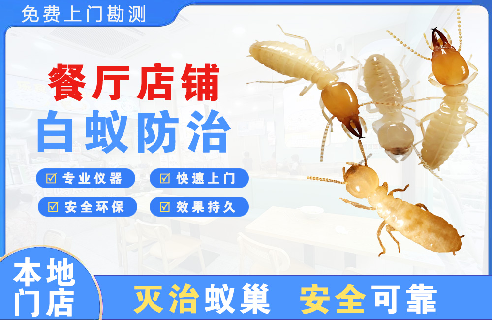 吉首餐厅店铺白蚁防治